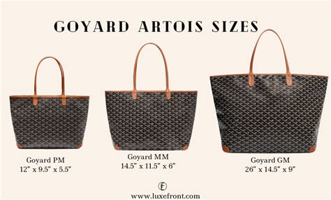 goyard artoiis|goyard artois pm vs mm.